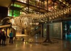 Paříž 2017  Přírodovědné muzeum Grande Galerie de l'Évolution : Paříž 2017