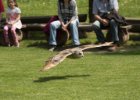 Zoo Liberec : _moje, bečka, bečka s dětma, pták, zoo