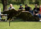 Zoo Liberec : _moje, bečka, bečka s dětma, pták, zoo